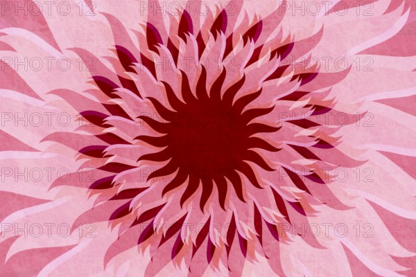 An artistic floral background featuring a layered pattern of pink and red abstract petals in a