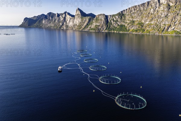Aerial view of a salmon farm, aquaculture in the Mefjord on Senja island, in the background the