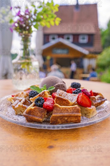 Waffles with berries and ice cream on a table with a café in the background, Cafehäusle Calw, Black