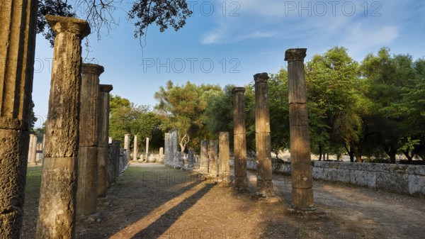Palestra, long row of ancient columns lined with trees and sky, Archaeological Site, Ancient