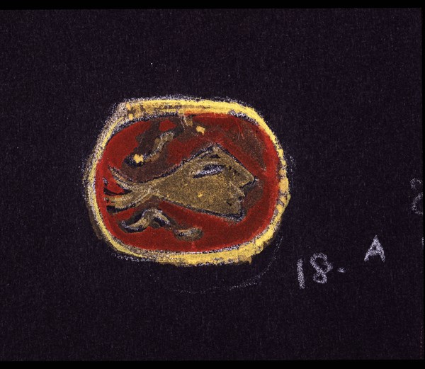 Braque, Héra