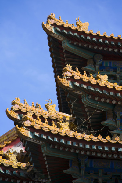 the Forbidden City,Forbidden City,Beijing