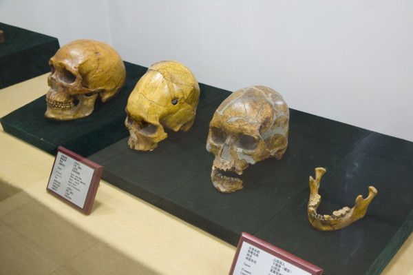 unearthed cultural relics from Ruins of Zhoukoudian PalaeoHuman