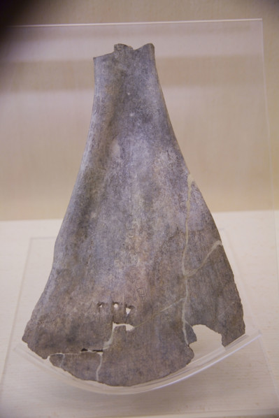 Cultural Relics and Treasure in Shanghai Museum