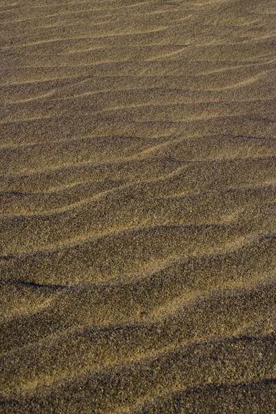 The Yadan landform in Lop Nur,Xinjiang