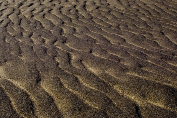 The Yadan landform in Lop Nur,Xinjiang