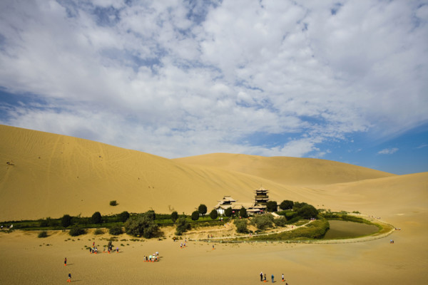 Infrequent Oasis in the Desert