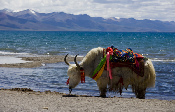 Nam Co Lake,Tibet