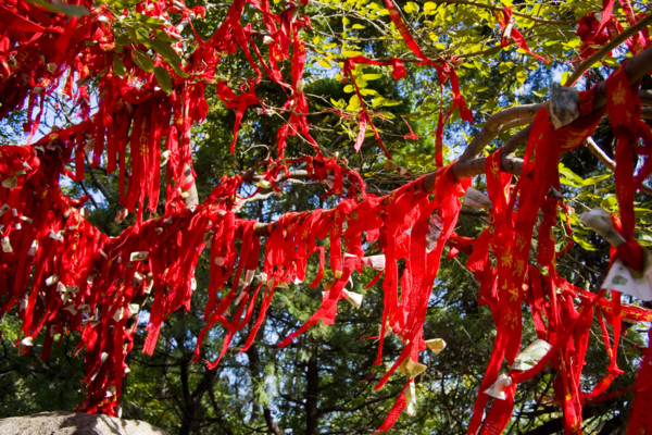 Red belt,Shandong