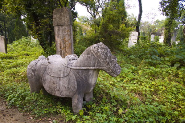 View of Confucius Forest in Qufu,Shandong