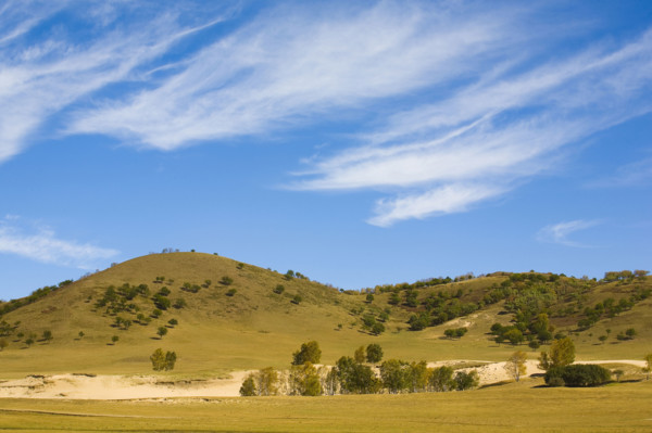 View of Bashang high plain,Neimenggu