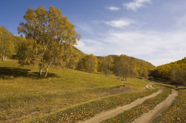 View of Bashang high plain,Neimenggu