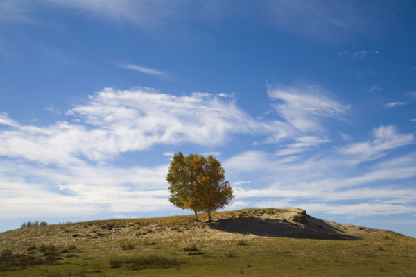 View of Bashang high plain,Neimenggu