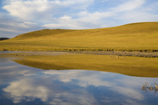 View of Bashang high plain,Neimenggu