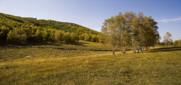 View of Bashang high plain,Neimenggu