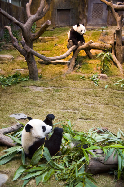 Hong kong marine park