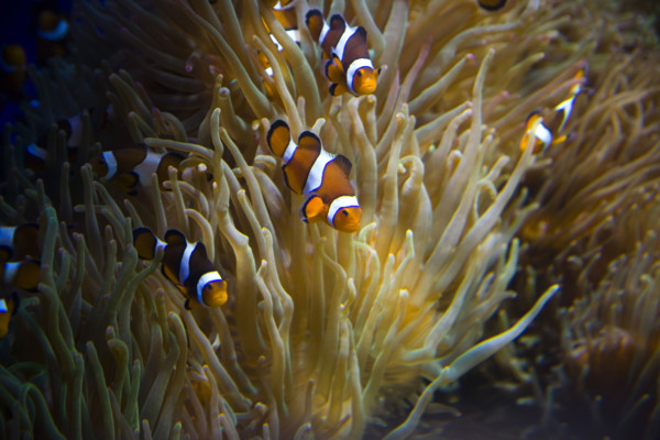 Hong kong marine park