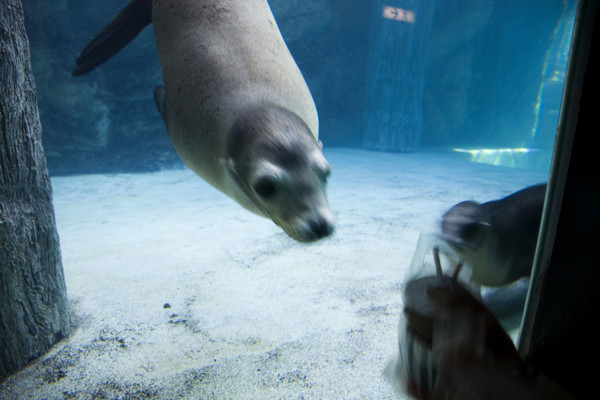 Hong kong marine park