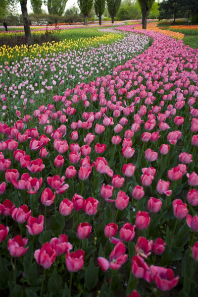 Beijing Botanical Garden