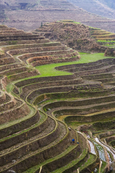 Longji Terraces,Guangxi