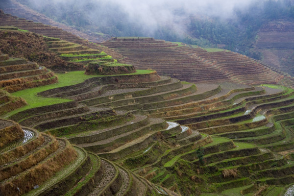 Longji Terraces,Guangxi