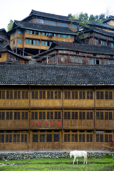 Longji Terraces,Guangxi