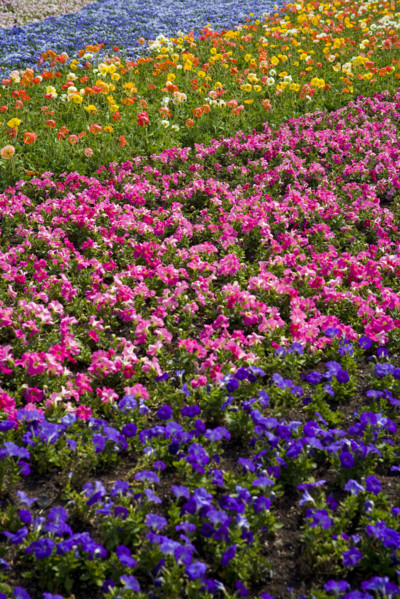 Kunming World's Fair,Kunming