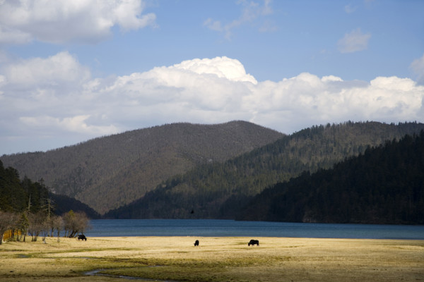 Yunnan,Pudacuo National Park,