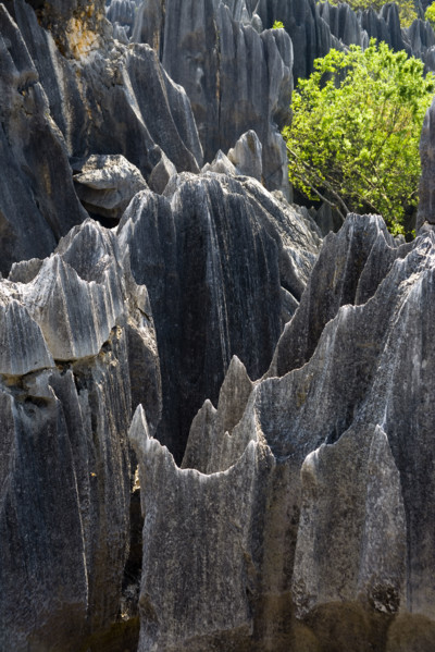 Yunnan,Stone Forest