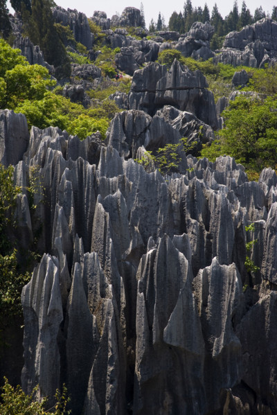 Yunnan,Stone Forest