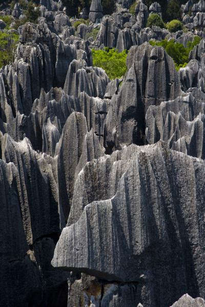Yunnan,Stone Forest