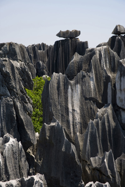 Yunnan,Stone Forest