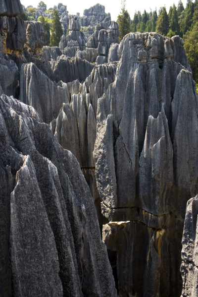 Yunnan,Stone Forest