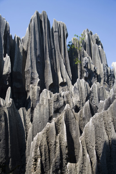 Yunnan,Stone Forest