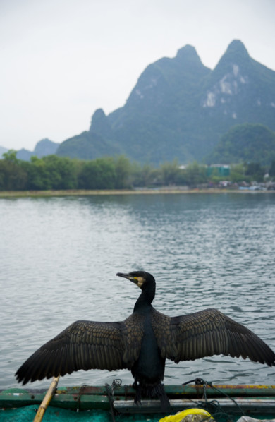 Xingping Town,Guangxi