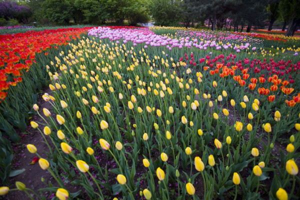 Beijing Botanical Garden