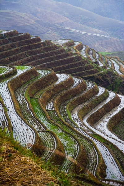 Longji Terraces,Guangxi