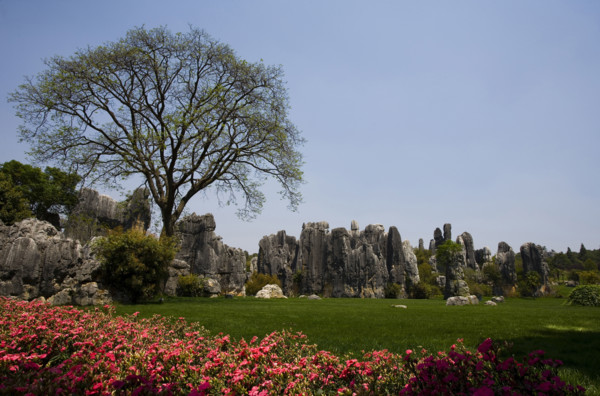 Yunnan,Kunming,Xishan