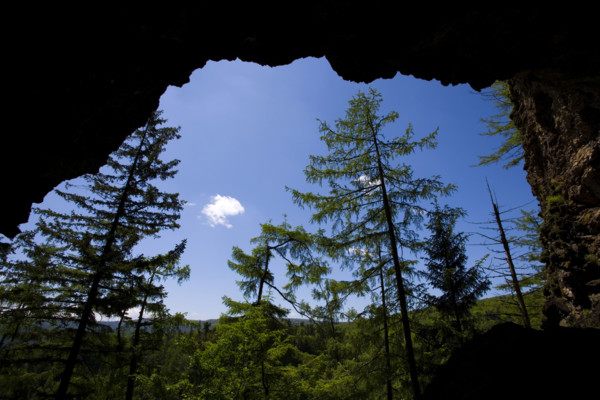 Heilongjiang,Jingbo Lake,Mirror Lake,Underground forest,