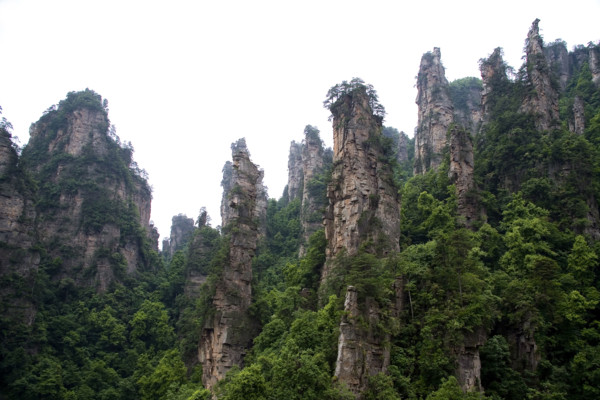 Hunan,Zhangjiajie National Forest Park,Zhangjiajie,Beauty in Nature,Mt Tianzi,Mount Tianzi,