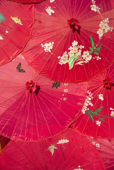 Yunnan,Yunnan Minzu Garden