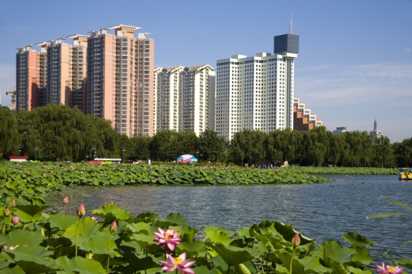 Lotus Pond Park,Beijing