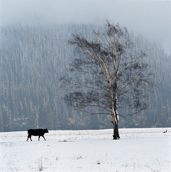 Xinjiang