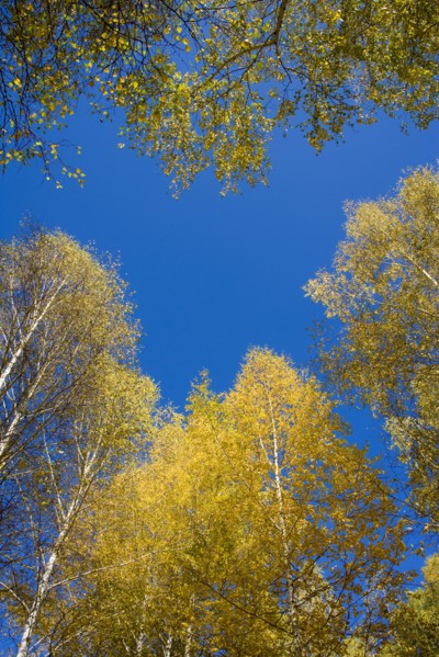 Xinjiang Province, Aletai,