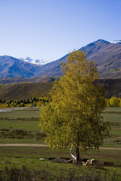 Xinjiang Province, Aletai,