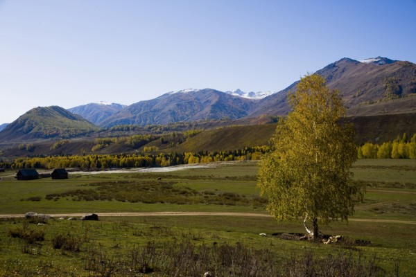Xinjiang Province, Aletai,