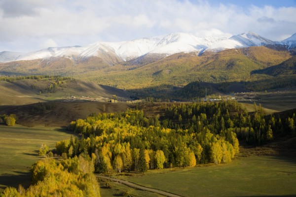 Altay Xinjiang, White Haba,