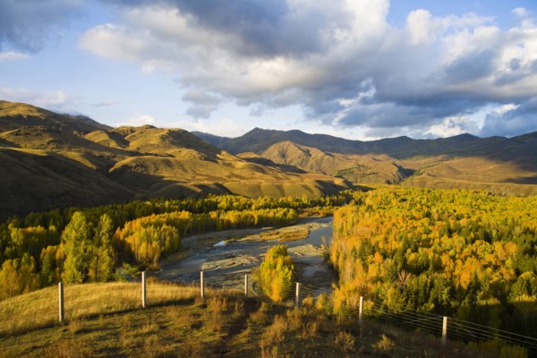 Altay Xinjiang, White Haba,