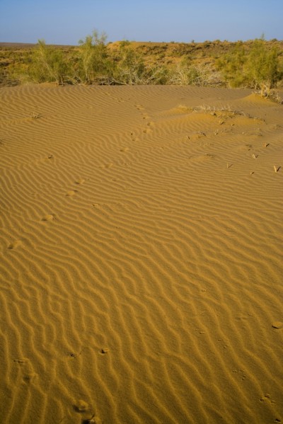 Xinjiang Province, Aletai,