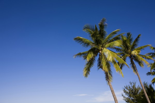 Sanya,Hainan